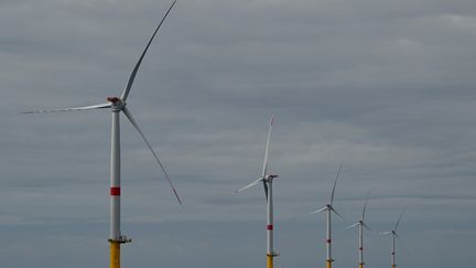 Le premier parc éolien offshore français au large des côtes de La Turballe, dans l'ouest de la France, le 30 septembre 2022. (DAMIEN MEYER / AFP)