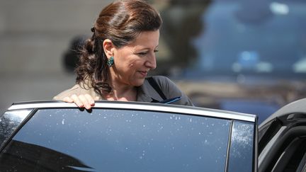 La ministre de la Santé, Agnès Buzyn, le 25 juillet 2018, à la sortie du Conseil des ministres. (FR?D?RIC DUGIT / MAXPPP)