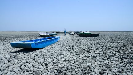 Le lac asséché du&nbsp;sanctuaire d'oiseaux de Nal Sarova en Inde, le 4 juin 2019. (SAM PANTHAKY / AFP)