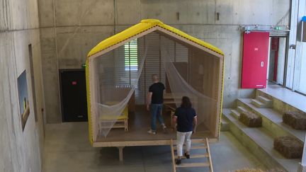 Exposition "Le champ des possibles" à Firminy, Loire (France 3 Rhône-Alpes)