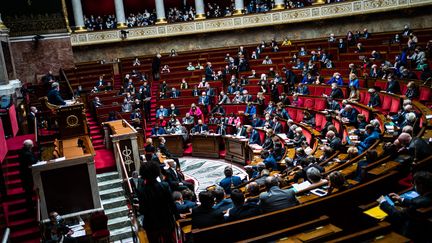 L'Assemblée nationale à Paris, le 8 février 2022.&nbsp; (XOSE BOUZAS / HANS LUCAS / AFP)