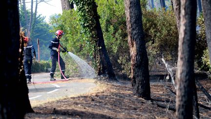 Anglet : l’incendie ravageur maitrisé