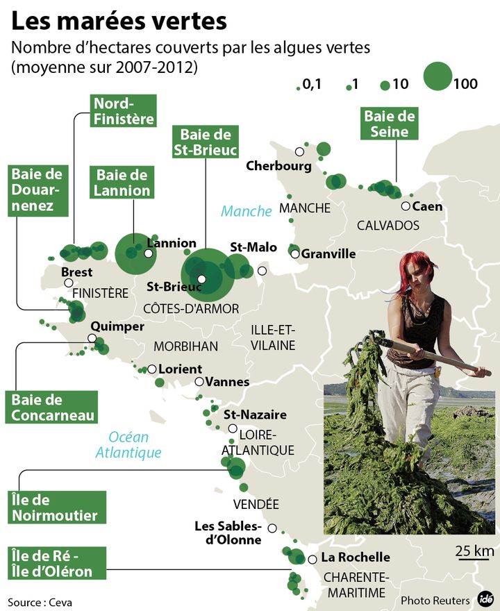 &nbsp; (Le phénomène des algues vertes © idé)