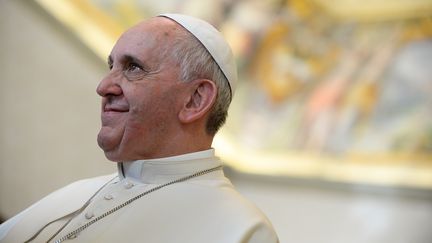 Le pape Fran&ccedil;ois lors d'une audience priv&eacute;e au Vatican, le 15 f&eacute;vrier 2014. (ANDREAS SOLARO / AFP)