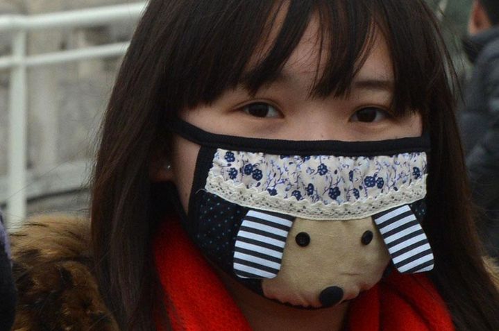 Une Chinoise porte un masque pour se prot&eacute;ger de la pollution, le 30 janvier 2013 &agrave; P&eacute;kin (Chine).&nbsp; (MARK RALSTON / AFP)