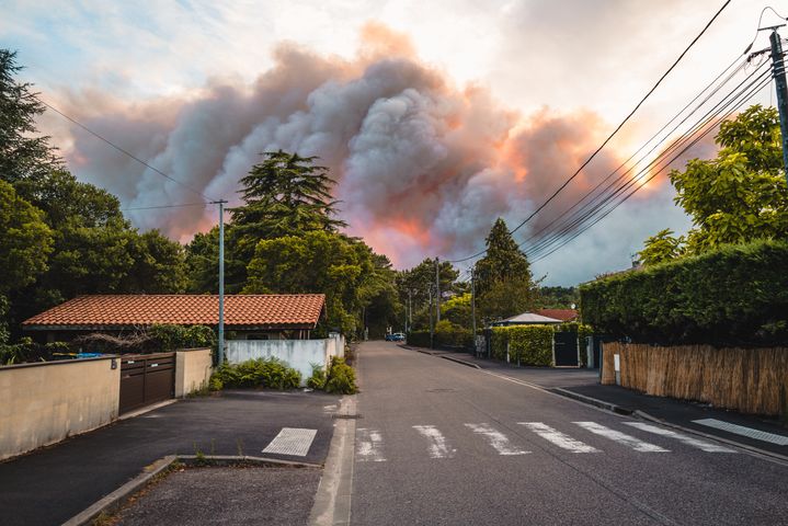 Un incendie ravage la forêt de La Teste-de-Buch, en Gironde, le 13 juillet 2022. (BENJAMIN GUILLOT-MOUEIX / HANS LUCAS / AFP)