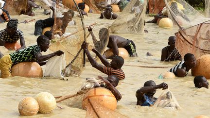 L’épreuve la plus importante dure une heure et consiste pour les hommes à pêcher le plus gros poisson à l’aide d’un filet traditionnel ou à mains nues.&nbsp; (PIUS UTOMI EKPEI / AFP)