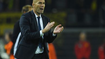 Zinédine Zidane sur le banc du Real Madrid (BERND THISSEN / DPA)