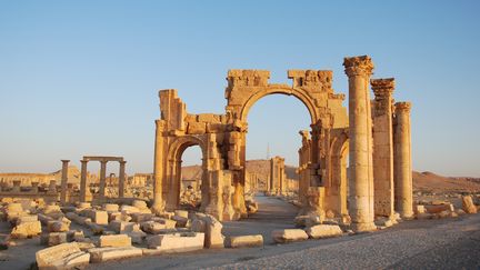 Ruins in the Syrian desert in the ancient city of Palmyra, Syria, 03 June 2009. The partly well-preserved structures, which have been declared a UNESCO World Hertiage Site, are in danger of being destroyed by extremists from the terror group Islamic State. Tourists from all over the world visited the sites up until the start of the civil war. Photo: CHRIS MELZER/dpa (MaxPPP TagID: dpaphotostwo351176.jpg) (MAXPPP)