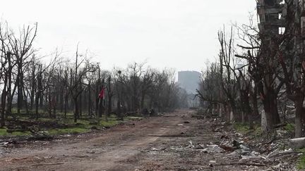 Guerre en Ukraine : au cœur de Marioupol, ville-martyre assiégée par les Russes