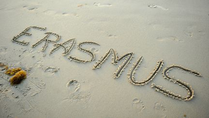 &nbsp; (Erasmus © Fotolia)