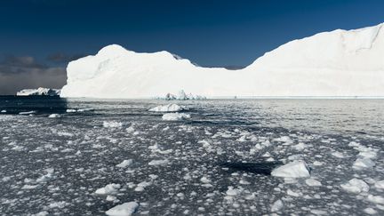 Le fjord glacé s'Ilulissat, au Groenland.&nbsp; (PITAMITZ SERGIO / AFP)