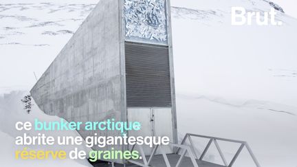 Surnommé "l'arche de Noé végétale", cet immense bunker arctique situé en Norvège contient une gigantesque réserve de graines.