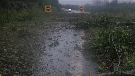 Après le passage de la tempête Ciaran, la circulation est perturbée sur plusieurs axes routiers dans le nord de la France. Dans le Finistère, les routes ont été coupées.