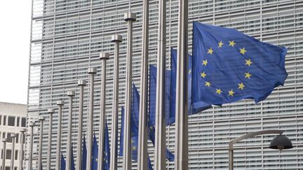 Des drapeaux européens flottent au vent devant la façade du Parlement européen à Bruxelles (Belgique), le 23 mars 2016. (ELYXANDRO CEGARRA / NURPHOTO / AFP)