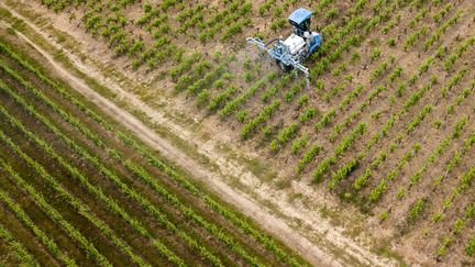 Epandage dans un vignoble de la région de Nantes (Loire-Atlantique) (illustration). (LOIC VENANCE / AFP)