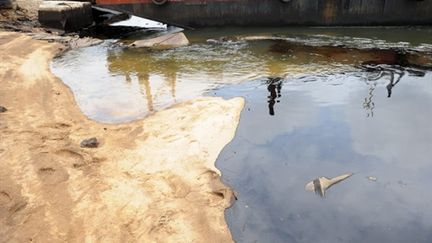 Les ravages du pétrole dans les marécages du Delta du Niger, dans le village de Bodo. (AFP PHOTO / PIUS UTOMI EKPEI)