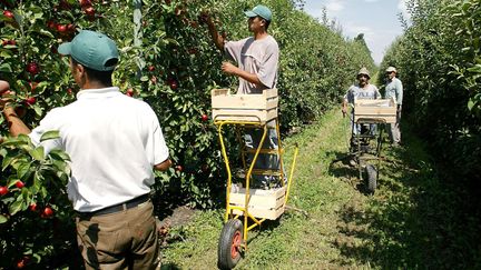 Frontières : les saisonniers européens de nouveau autorisés à entrer en France