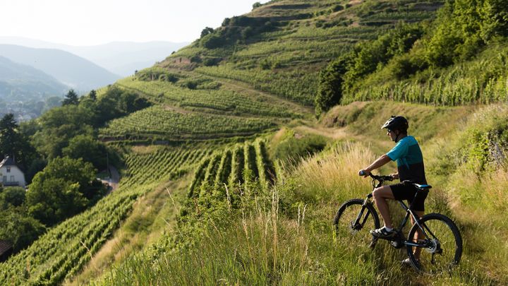 La région de Guebwiller est labellisée "base VTT" par la Fédération Française de Cyclisme.  (GRÉGORY TACHET / OFFICE DE TOURISME DE GUEBWILLER)