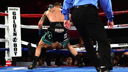 Joe Smith a envoyé Bernard Hopkins hors du ring lors de la 8e reprise (HARRY HOW / GETTY IMAGES NORTH AMERICA)