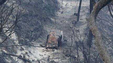 Un véhicule carbonisé à Carros. (VALERY HACHE / AFP)