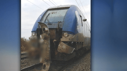 Un train régional en roue libre après avoir percuté deux vaches