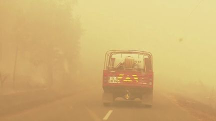 Incendie en Gironde&nbsp;: 600 hectares de végétation ont brûlé dans la nuit du mercredi 10 au jeudi 11 août 2022 (France 3)