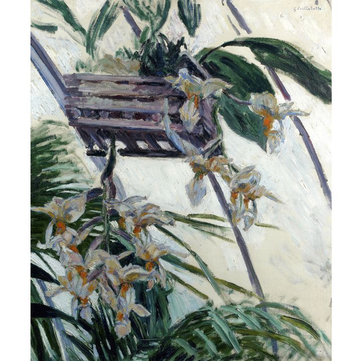 Gustave Caillebotte, "Orchidée", 1893, Collection particulière
 (Paris, Comité Caillebotte)