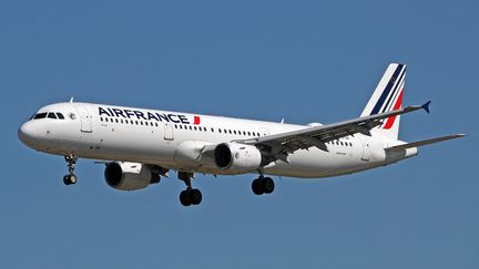 Un avion d'Air France s'apprête à atterrir à l'aéroport de Barcelone (Espagne), le 2 septembre 2024. (URBANANDSPORT / NURPHOTO / AFP)