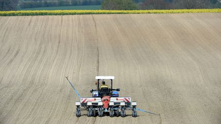 Un agriculteur sème du maïs en&nbsp;Eure-et-Loir, en avril 2021. Photo d'illustration. (JEAN-FRANCOIS MONIER / AFP)