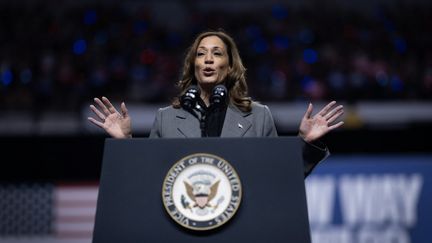 La vice-présidente Kamala Harris, candidate démocrate à la présidence, lors d'un rassemblement de campagne à Madison (Wisconsin), le 20 septembre 2024. (SCOTT OLSON / GETTY IMAGES NORTH AMERICA / AFP)