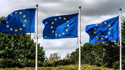 Le drapeau de l'Union europ&eacute;enne flotte &agrave; Lille (Nord), le 18 avril 2014.&nbsp; (PHILIPPE HUGUEN / AFP)