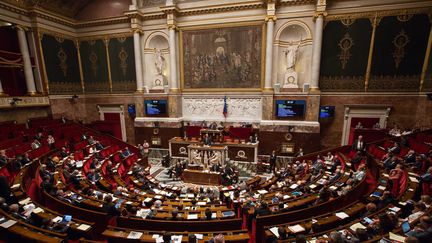 A l'Assemblée nationale, à Paris, le 19 juillet 2016. (IRINA KALASHNIKOVA / SPUTNIK / AFP)