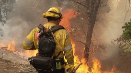 Incendies en Californie : l'état d'urgence décrété à Los Angeles, encerclée par les flammes