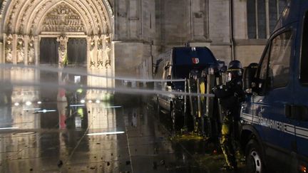 Des gendarmes à Bordeaux (Gironde), lors d'une manifestation des "gilets jaunes", le 12 janvier 2019. (MEHDI FEDOUACH / AFP)