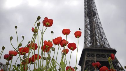 Le jardin éphémère au pied de la tour Eiffel 
 (Joël Saget/AFP)