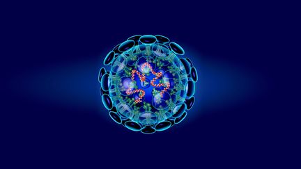 Le nouveau coronavirus, littéralement le "virus en couronne"&nbsp;en raison des petites protubérances qui l'entourent, a pris naissance en Chine et provoque des troubles respiratoires plus ou moins importants.


 (ROGER HARRIS / SCIENCE PHOTO LIBRA / RHR)