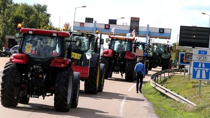 Crise des agriculteurs : près de 200 tracteurs remontent l'autoroute de Normandie