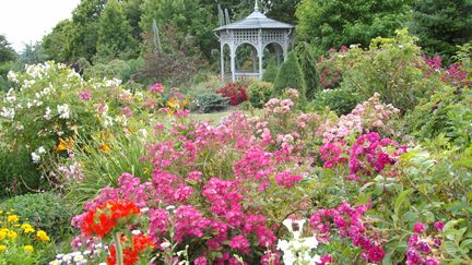 Le printemps au Jardin de Landrévarzec. (ISABELLE MORAND / DR /RADIO FRANCE / FRANCE INFO)