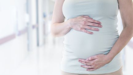 Le Haut Conseil de la santé publique recommande aux femmes enceintes d'adopter certaines mesures d'hygiène pour se protéger d'un virus potentiellement dangereux pour le fœtus, dans un avis rendu le 17 décembre 2018. (SCIENCE PHOTO LIBRARY / R3F / AFP)