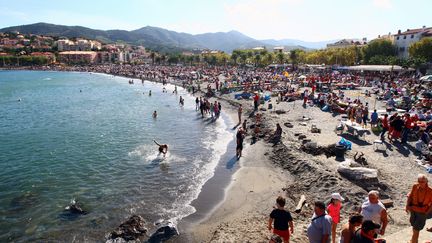 La place centrale &agrave; Banuyls-sur-mer (Pyr&eacute;n&eacute;es-Orientales), &agrave; l'occasion de la f&ecirc;te des vendanges, mardi 14 octobre 2014.&nbsp; (  MAXPPP)