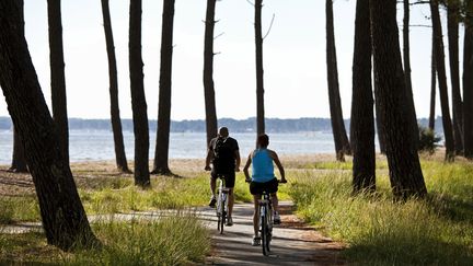 Cyclotourisme sur l'étang de Cazeaux et de Sanguinet en Aquitaine (PHILIPPE ROY / PHILIPPE ROY)