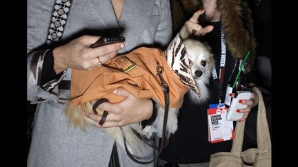 Thème « LFW Backstage »: l’atmosphère particulière des coulisses de la semaine de la mode londonienne.
 (David Bebber)