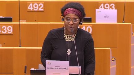 ftvi mod eurodéputée violence policière