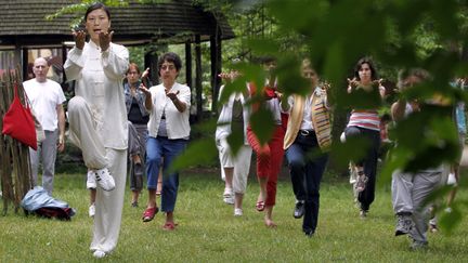 Un cours de Qi Gong à l'occasion de la journée nationale du Qi Gong, le 6 juin 2010, au Bois de Vincennes, à Paris.&nbsp; (FRANCOIS GUILLOT / AFP)