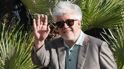 Pedro Almodovar, président du jury du 70e Festival de Cannes (mai 2016)
 (Anne-Christine POUJOULAT / AFP)