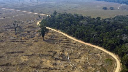 Une zone de la forêt amazonienne déboisée et brûlée le 24 août 2019 près de Porto Velho (Brésil). (CARLOS FABAL / AFP)