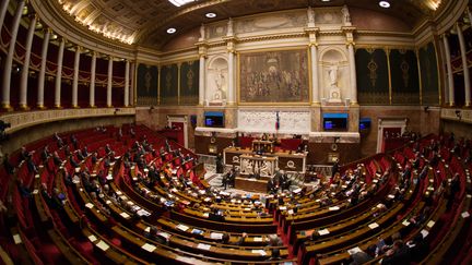 Une vue de l'Assemblée nationale à Paris, le 25 novembre 2015. (CITIZENSIDE/YANN BOHAC / CITIZENSIDE.COM / AFP)