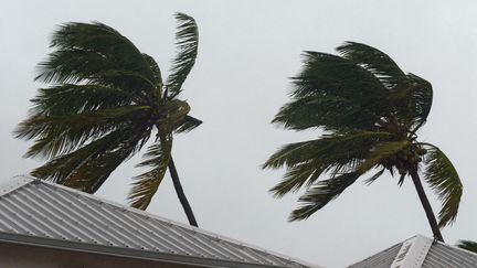 La tempête tropicale Berguitta a causé beaucoup de dégâts au sud de La Réunion, jeudi 18 janvier.  (VALERIE KOCH / SIPA)