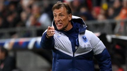 Le sélectionneur des Bleues, Hervé Renard, lors du match amical contre le Canada, le 11 avril 2023 au Mans. (FRANCK FIFE / AFP)